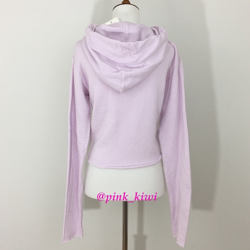 ⬇️REDUCED❗️ Wildfox Pasé The Rosé Ivy Hoodie - Picture 6 of 8
